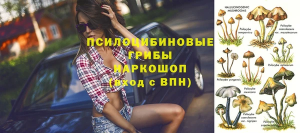 спиды Бронницы