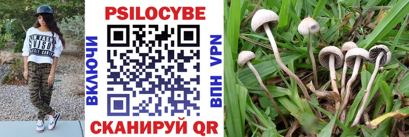 Псилоцибиновые грибы Psilocybe  Купить закладки  Геленджик 